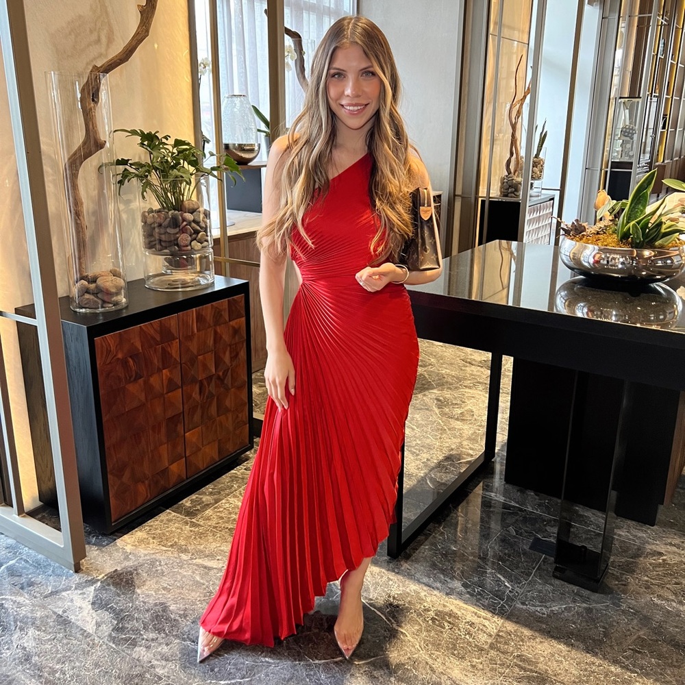 A.L.C sold out delfine dress in a size 2
